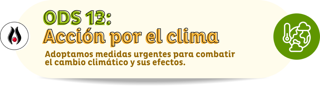 ODS 13: Acción por el clima