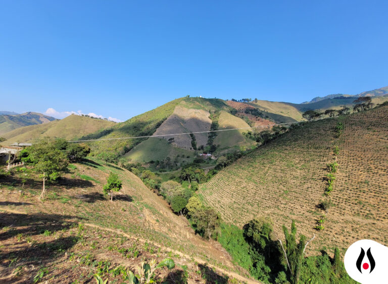 AVALUOS RURALES